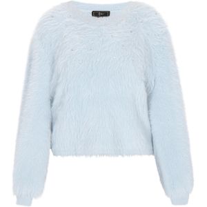 faina Trui  lichtblauw
