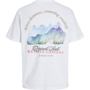 JACK & JONES Shirt  blauw / bruin / rood / zwart / wit