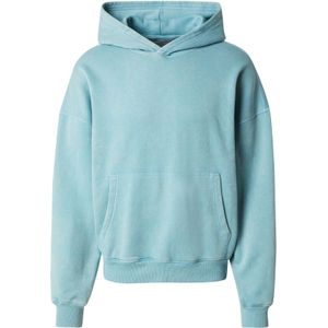HOLLISTER Sweatshirt  hemelsblauw