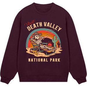 F4NT4STIC Sweatshirt 'US National Parks Visit Death Valley'  bruin / petrol / donkeroranje
