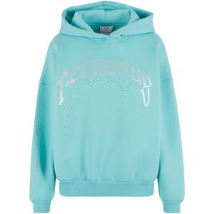 Felicious Sweatshirt  turquoise / zilver