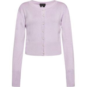 NAEMI Gebreid vest  lavendel