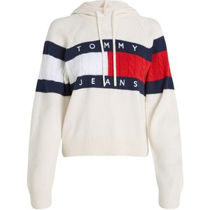 TOMMY HILFIGER - DW0DW20250 - Hoodie - Zwart - Katoen