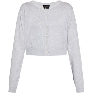 NAEMI Trui  lichtgrijs