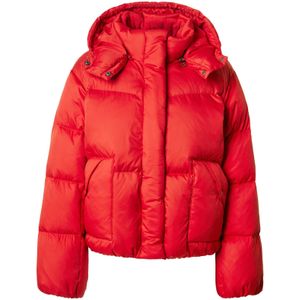 Levi's - Western - Gewatteerd Jack - Regular Fit - Gevoerde Capuchon