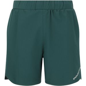 ENDURANCE Sportbroek  zilvergrijs / smaragd