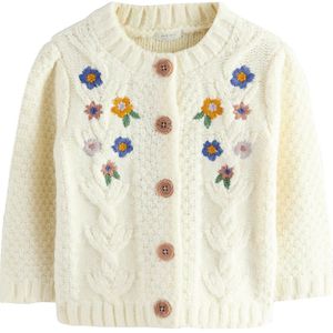 Next Gebreid vest  ecru / blauw / geel