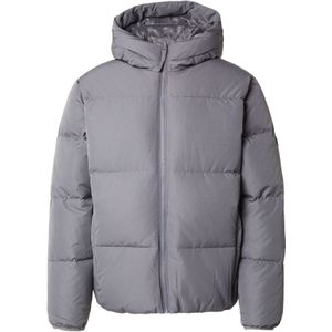 HOLLISTER Winterjas  grijs