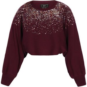 faina Trui  cyclaam / zilver