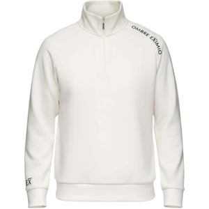 Ombre Sweatshirt  wit