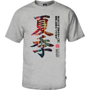 Oldskull Shirt 'Asian Kanji Street'  grijs