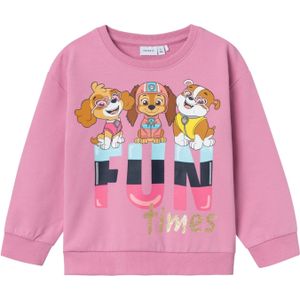 Sweatshirt 'Fula Pawpatrol'