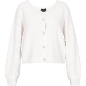 faina Oversized vest  zwart / offwhite