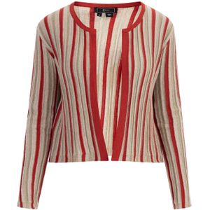 faina Gebreid vest  beige gemêleerd / goud / karmijnrood