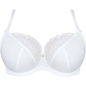 Gorsenia BH 'K378 Victoria'  wit