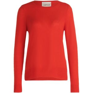 Cartoon Trui  oranje