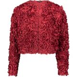 zero Blazers  donkerrood