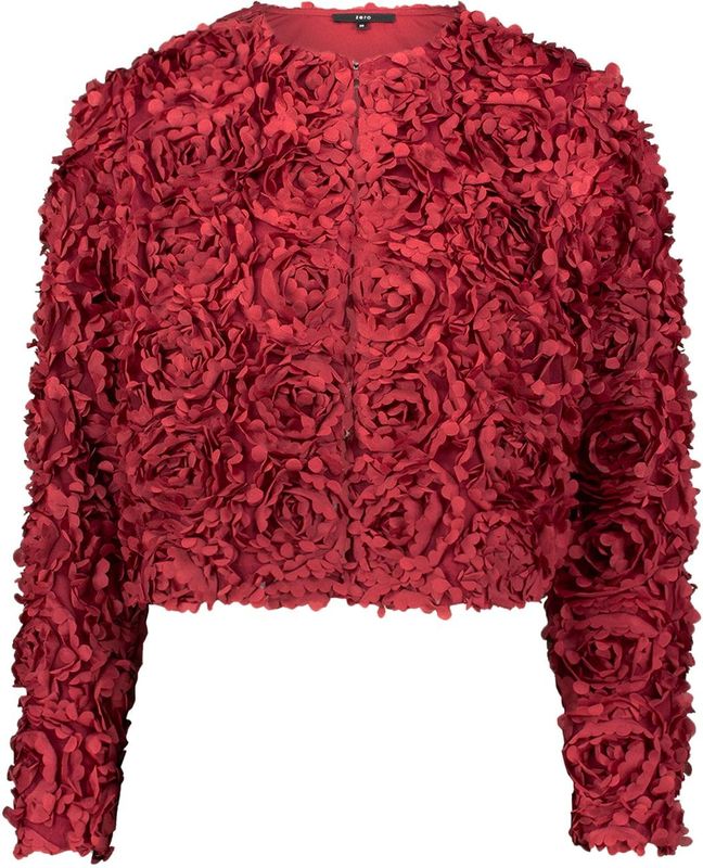 zero Blazers  donkerrood