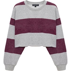 Nomatter-What - Sweat-shirt - Gestreept