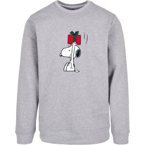 Sweatshirt 'Peanuts Snoopys Present'