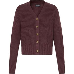 Oxmo Gebreid vest ' OXFKANNA '  bruin