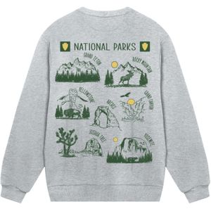 F4NT4STIC Sweatshirt  grijs / groen