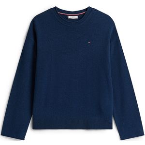 TOMMY HILFIGER Trui  navy