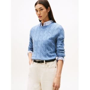 TOMMY HILFIGER - Trui - Blauw - Effen - Lange Mouw