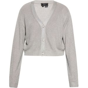 faina Gebreid vest  grijs