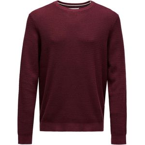 Salsa Jeans Trui  rood