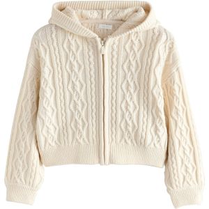 Next Gebreid vest  ecru
