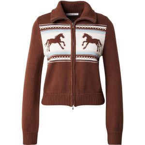 Abercrombie & Fitch Gebreid vest  lichtblauw / bruin / wit