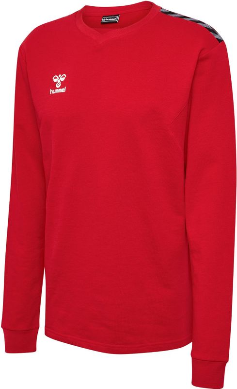 Hummel - hmlAUTHENTIC CO TRAINING - Sweatshirt