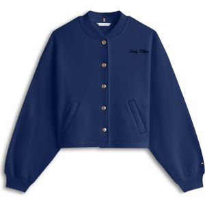 TOMMY HILFIGER Sweatvest  marine
