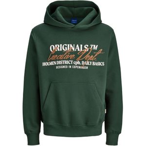 JACK & JONES Trui  karamel / donkergroen / wit