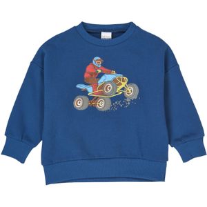 Fred's World by GREEN COTTON Sweatshirt  blauw / geel / grijs / rood