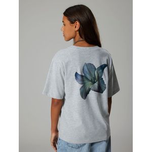 LMTD Shirt  blauw / grijs