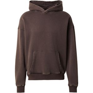 HOLLISTER Sweatshirt  bruin