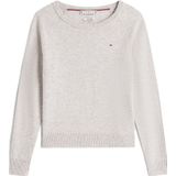 TOMMY HILFIGER - Trui - Grijs - Normale Pasvorm - Lange Mouw