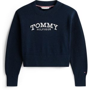 TOMMY HILFIGER Trui  navy / rood / wit