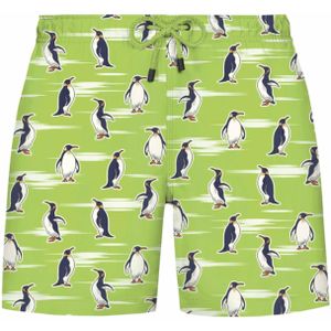 WESTMARK LONDON Zwemshorts  groen / gemengde kleuren