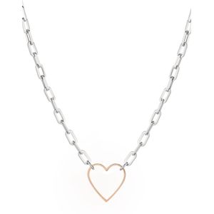 Liebeskind Berlin Ketting  goud / zilver