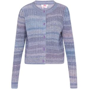 MYMO - Gebreid Vest - Blauw/Lila - Lange Mouw