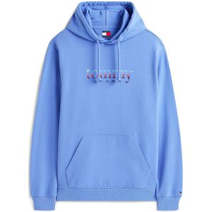 Tommy Jeans Sweatshirt  hemelsblauw / lichtblauw / donkerlila / rood