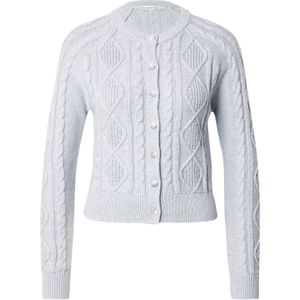 Abercrombie & Fitch Gebreid vest  lichtgrijs