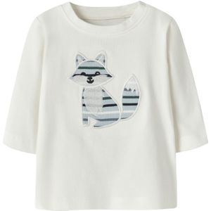 NAME IT Shirt 'NBMSING'  lichtblauw / spar / zwart / wit