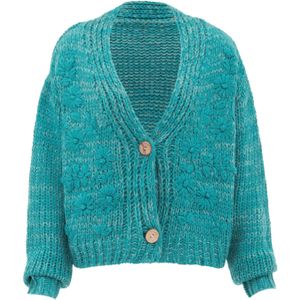 ebeeza Gebreid vest  cyaan blauw