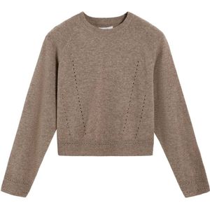 Scalpers Trui 'Scmer R'  bruin gemêleerd