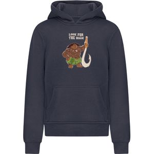 ABSOLUTE CULT Sweatshirt  beige / navy / bruin / groen