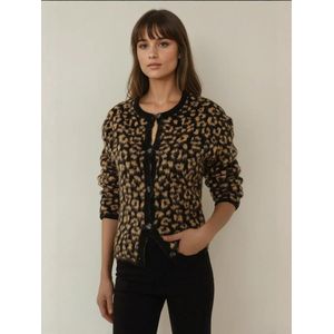 Hiccup Gebreid vest  bruin / zwart